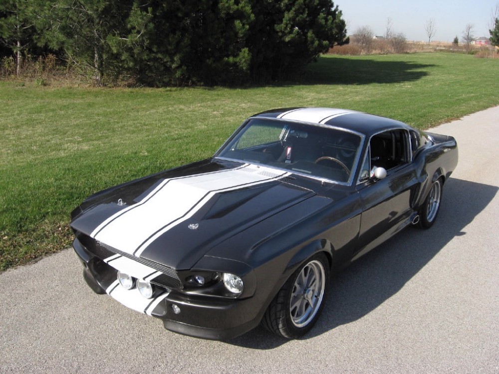 1967 Ford Mustang OR 1968 SHELBY GT500E ELEANOR CUSTOM BUILD FOR YOU ...