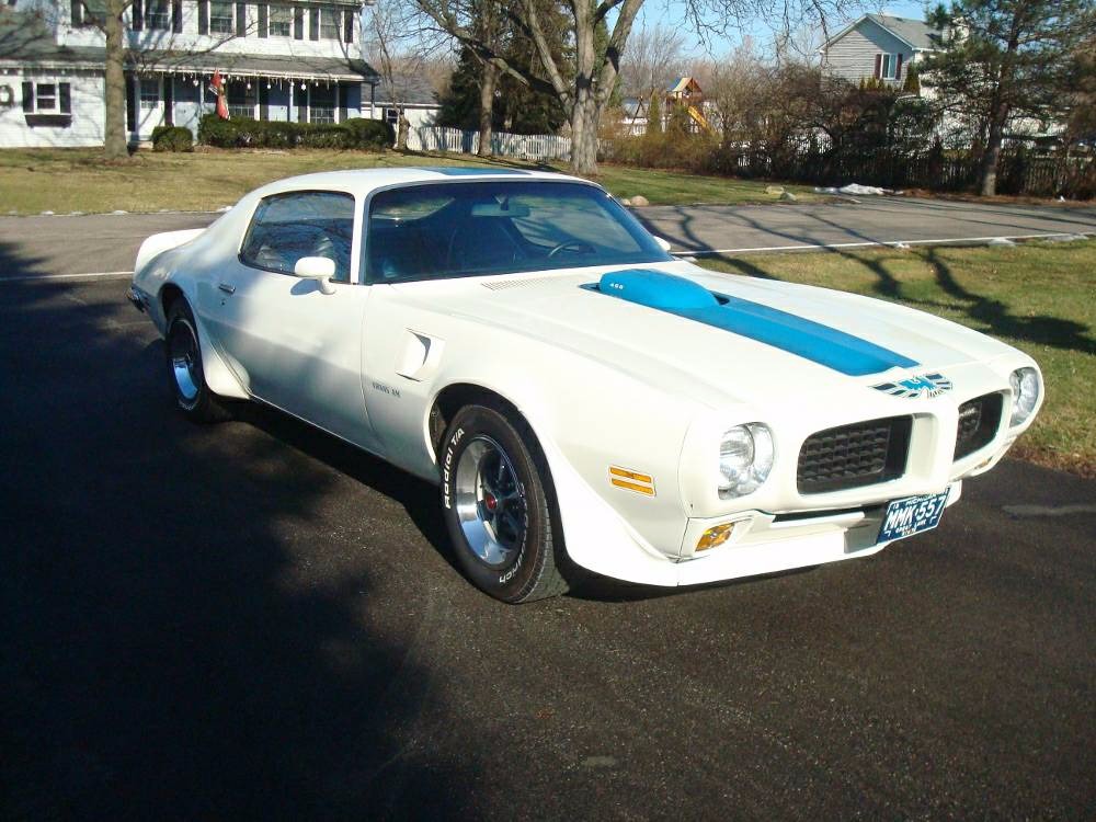 1973 Pontiac Firebird -TRANS AM -FUEL FOR THE SOUL- SEE VIDEO Stock ...