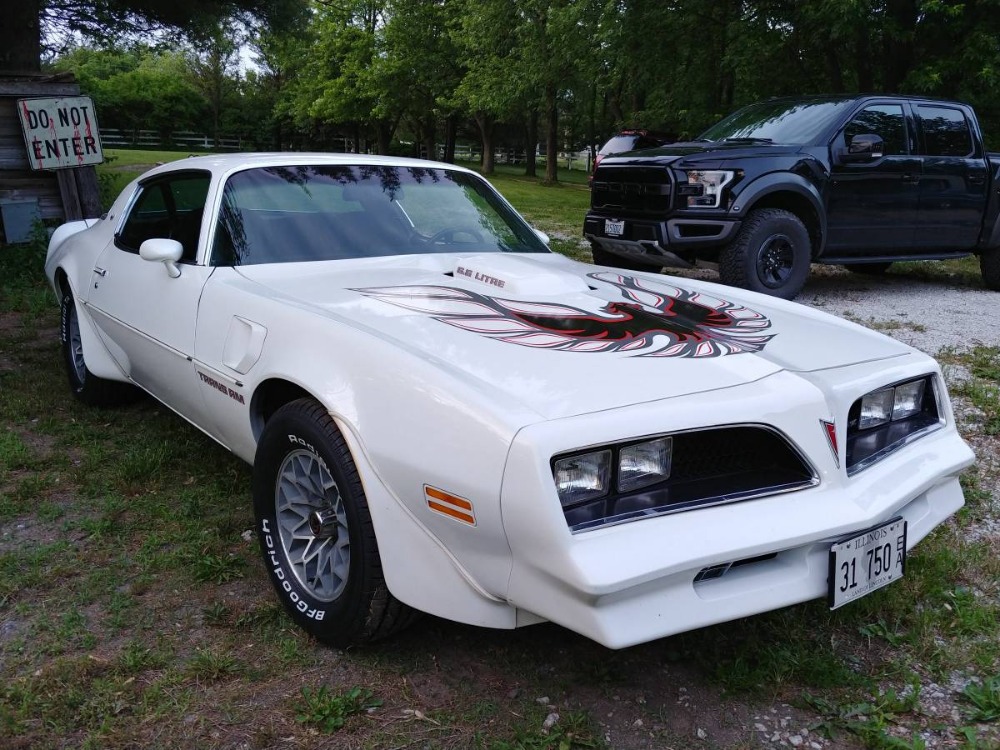 1978 Chevrolet Trans Am -SUMMER HEAD TURNER Stock # 622201831JW for ...