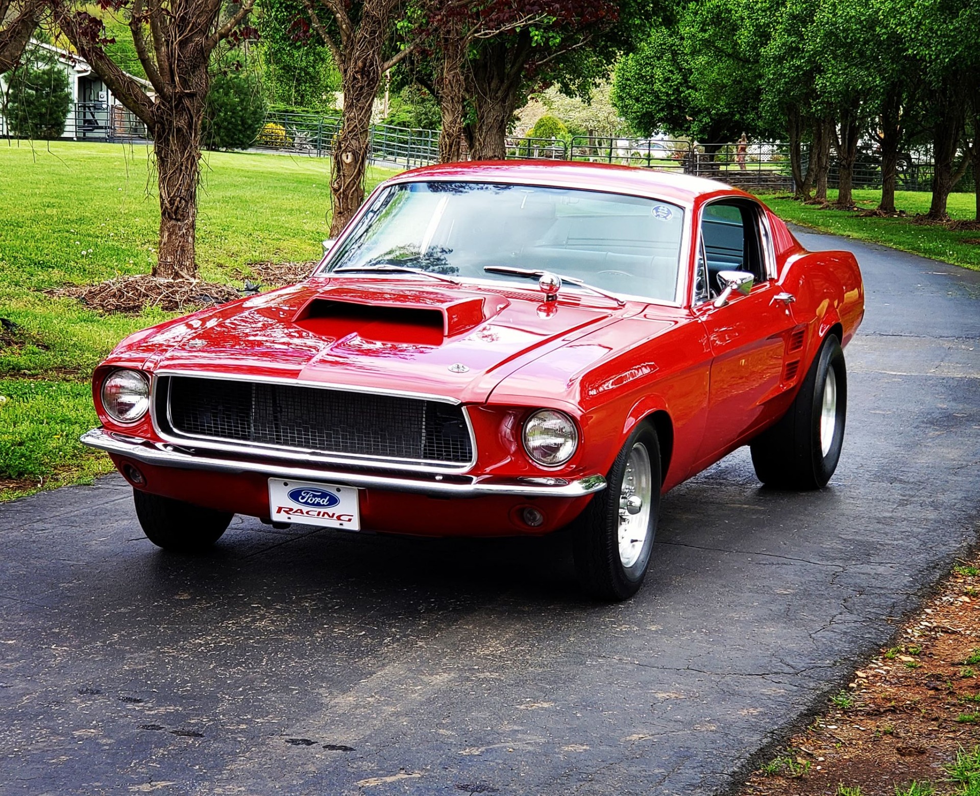 1967 Ford Mustang -FASTBACK-4 SPEED-RESTORED-BUILT MUSCLE CAR- Stock ...