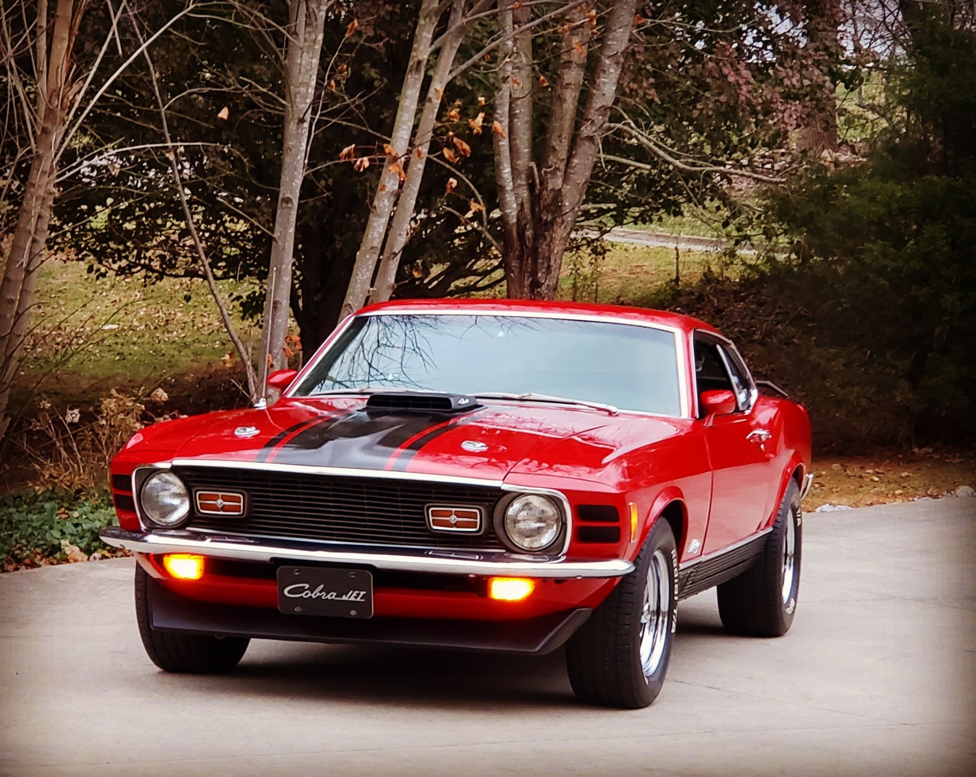 1970 Ford Mustang - MACH 1 - 428 SUPER COBRA JET - Stock # 70428CVO for ...